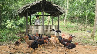 FULL VIDEO 120 days to build a complete bamboo house  Cooking  Living with nature [upl. by Gerianne]