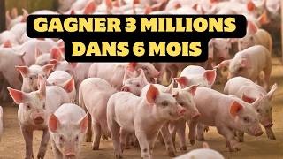 Comment Gagner 3 millions FCFA grâce à lElevage de Porcs dans 6 moiselevagedeporcfermeporcine [upl. by Phipps]