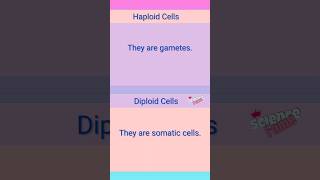 Haploid vs Diploid Cells [upl. by Wenoa]