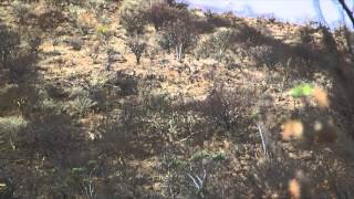 Flatliners  Namibia Part 1 [upl. by Meldoh]