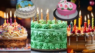 beautiful amazing art of cake  creamy cake  chocolate cake  cake  decorating cake [upl. by Egap]