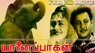 Yanai Paagan Tamil Full Movie  Udaykumar  Sarojadevi  KVMahadevan  Tamil Super Hit Movies [upl. by Roe213]