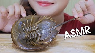 ASMR EATING HORSESHOE CRAB EXOTIC FOOD SOFT CRUNCHY EATING SOUNDS 먹방  LINHASMR [upl. by Werner]