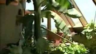 Earthship Biotecture on the Weather Channel [upl. by Thay]