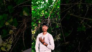 Dp me rakhani shaiya ke bhojpuri song tuntunlalyadavbhojpurivideo [upl. by Dijam]