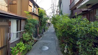 Wednesday Morning Tokyo Alleys in KitaSenju  JAPAN LIVE STREAMS 2024 [upl. by Annaira]