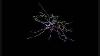 3D neural reconstruction [upl. by Gina]