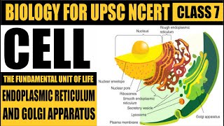 CELL  Endoplasmic Reticulum  CLASS 7  Biology for NCERT  Biology by Sita Mam [upl. by Laiceps]