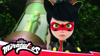 MIRACULOUS  🐞 RECREATION  Akumatized 🐾  SEASON 5  Tales of Ladybug amp Cat Noir [upl. by Eddie]