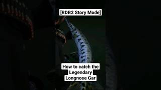 How to catch the Legendary Longnose Gar 🎣 Red Dead Redemption 2 [upl. by Anelav185]