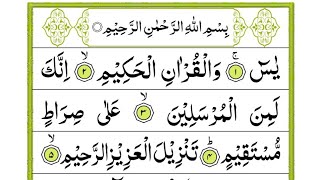 Surah Yaseen Full  Surah Yasin Shareef  سورہ یس  Amir Taqi [upl. by Innavoeg]