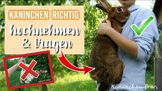 Kaninchen richtig HOCHNEHMEN amp TRAGEN  So gehts ✔🐰  Kaninchenstar [upl. by Balcke]