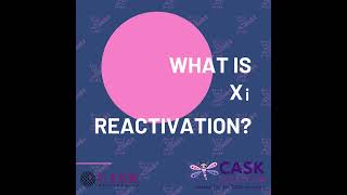 What is Xi reactivation [upl. by Amadeo]