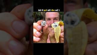 Why are banana seeds so small shorts facts [upl. by Misak]