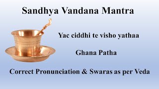 Sandhya Vandana Mantra  Yac Ciddhi Te  Ghana Patha  Sri K Suresh  Krishna Yajur Veda [upl. by Selwin]