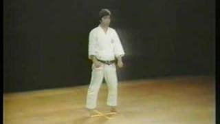 Bassai Sho  Shotokan Karate [upl. by Schapira]