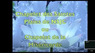 CHAPELET DES SAINTES PLAIES DE NSJCSOEUR Marie Marthe Chambon [upl. by Saitam]