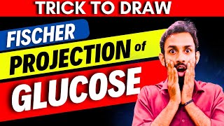 TrickHow to draw Fischer Projection of Glucose  How to draw Structure of Glucose  D amp L Glucose [upl. by Ym902]