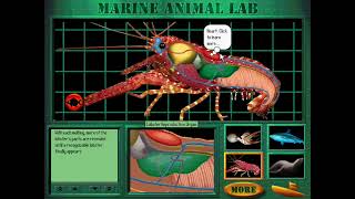 Undersea Adventure Windows Version Marine Animal Lab Lobster [upl. by Hamann]