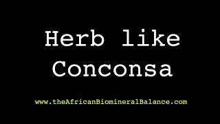 DR SEBI  A HERB SIMILAR TO CONCONSA [upl. by Yahsed]