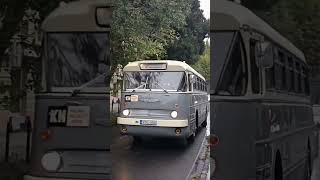 Ikarus 55 suhan a Gárdonyi térren [upl. by Barsky561]