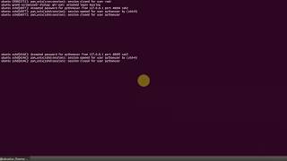 Python Advanced Tutorial  How to build SSH client in Python [upl. by Anwaf582]