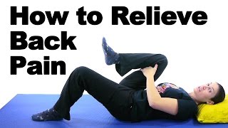 Back Pain Relief Exercises amp Stretches  Ask Doctor Jo [upl. by Corso]