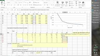 Population Dynamics in Excel [upl. by Eetnwahs65]