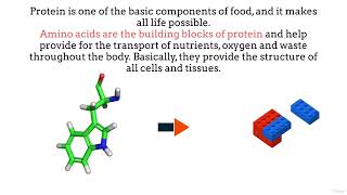 Macronutrients [upl. by Tamar]