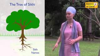 How and Why are Sikhs killing Sikhi [upl. by Wolsky]