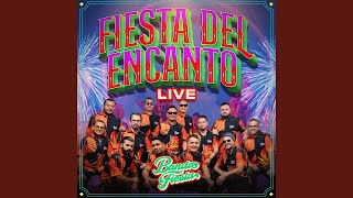 Fiesta Del Encanto Live [upl. by Ynar]