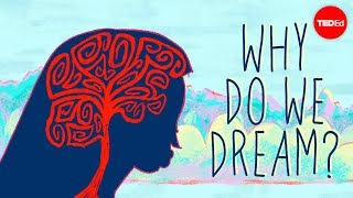 Why do we dream  Amy Adkins [upl. by Sualokin590]