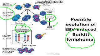 Microbial carcinogenesis [upl. by Neyud]