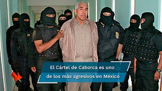 El Cártel de Caborca la organización criminal que creó Caro Quintero al salir de prisión [upl. by Nidroj]