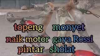 topeng monyet [upl. by Badger]