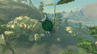 Korok seeds  Lindors Brow  Ridgeland Tower 67  Zelda BOTW [upl. by Candyce]