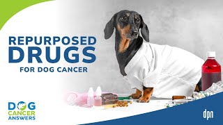 Repurposed Drugs for Cancer in Dogs  Lauren Barrow DVM [upl. by Llenor]