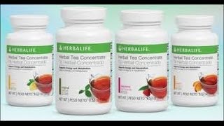 Herbalife Review  Herbalife Hebal Tea Concentrate  whats in it [upl. by Winn]