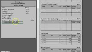 Unadjusted Trial Balance [upl. by Launce]