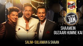 Shaamein Guzaari Humne Kai  Shaan  Salim–Sulaiman  Hindi Song  McDowells No1YAARIJAM [upl. by Leunas]