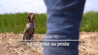 Chiens de chasse 10  La sagesse au poste [upl. by Lamok451]