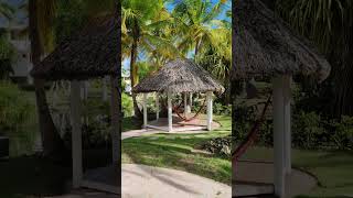 🇩🇴 Catalonia Bavaro Beach Punta Cana Dominican Rep 🌴shortsvideo shorts shortvideo travel [upl. by Ielerol]