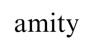 The Definition of amity [upl. by Livvie]