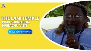 THULANI TEMPLE PINK SUBREGION NABACHU VISIT INKOLO NOMTOMUSHA EP5  SHEMBE AMANAZARETHA [upl. by Yllil667]