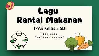 Lagu Rantai Makanan  IPAS Kelas 5 SD [upl. by Remsen]