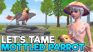 Mottled Parrot Mount  Chilli amp Wheat Location  How to Tame  UtopiaOrigin [upl. by Elocal]