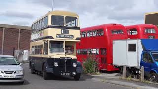 Buses at Aldridge Transport Museum amp Around Aldridge 2172024 [upl. by Memory]