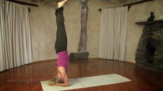 Supported Headstand or Salamba Sirsasana Yoga [upl. by Lucia]