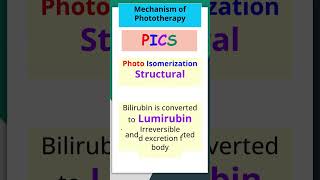 Mnemonics for mechanism for phototherapy for jaundice newborn jaundice mbbs neetpg inicet fmge [upl. by Timmie372]