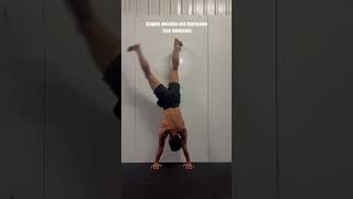 Scapula elevation and depression from handstand [upl. by Krute]